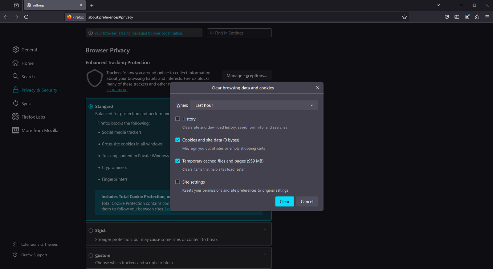 Firefox Cache Settings